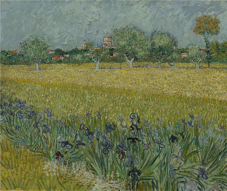 View Of Arles With Irises In The Foreground